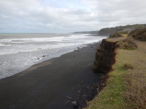 Taupo - Mt Egmont-046